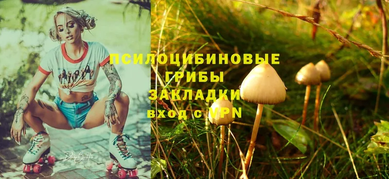 как найти закладки  ОМГ ОМГ как войти  Галлюциногенные грибы Psilocybine cubensis  Котельники 